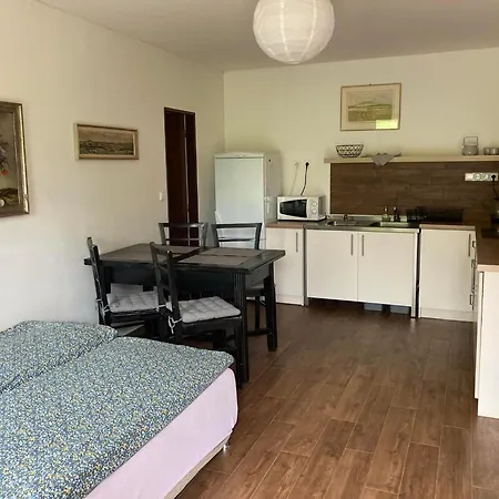 Apartment Zidovice